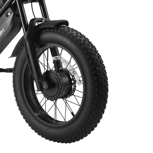 Bicicletta Cargo Elettrica a Doppio Motore