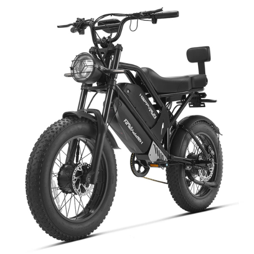 Bicicletta Cargo Elettrica a Doppio Motore
