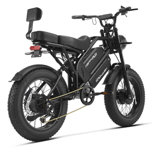 Bicicletta Cargo Elettrica a Doppio Motore