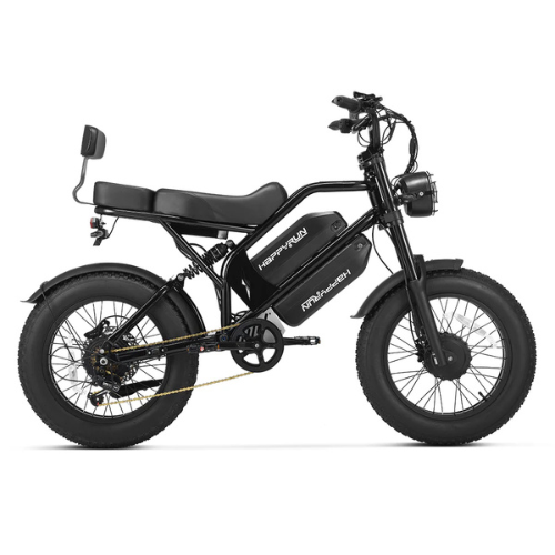 Bicicletta Cargo Elettrica a Doppio Motore