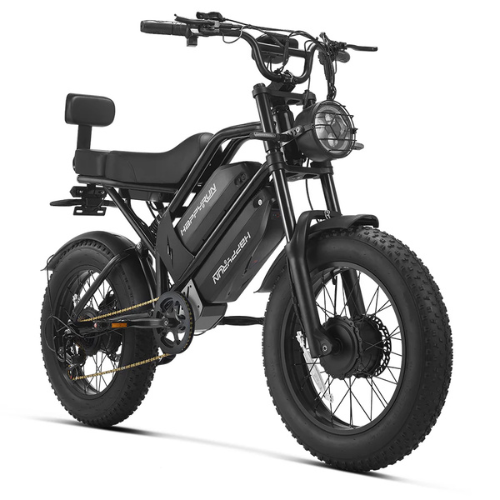 Bicicletta Cargo Elettrica a Doppio Motore