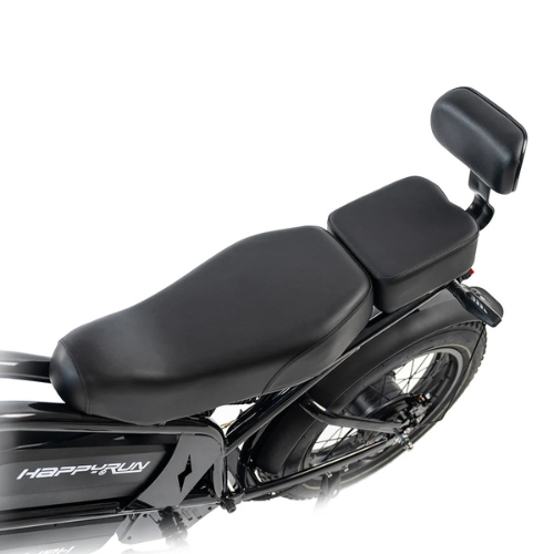 Bicicletta Cargo Elettrica a Doppio Motore