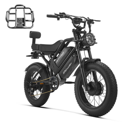 Bicicletta Cargo Elettrica a Doppio Motore