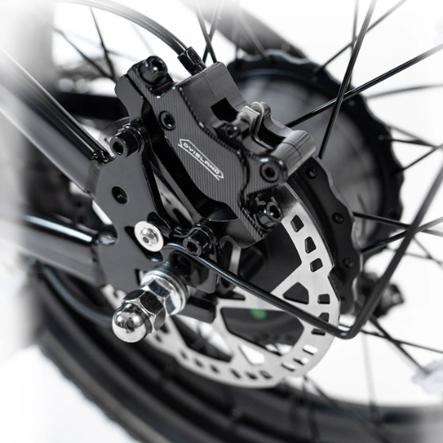 Bicicletta Cargo Elettrica a Doppio Motore